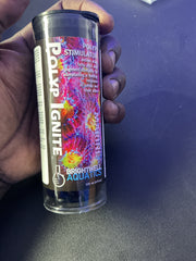Polyp Ignite