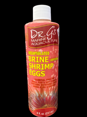 Brine shrimp eggs 8oz
