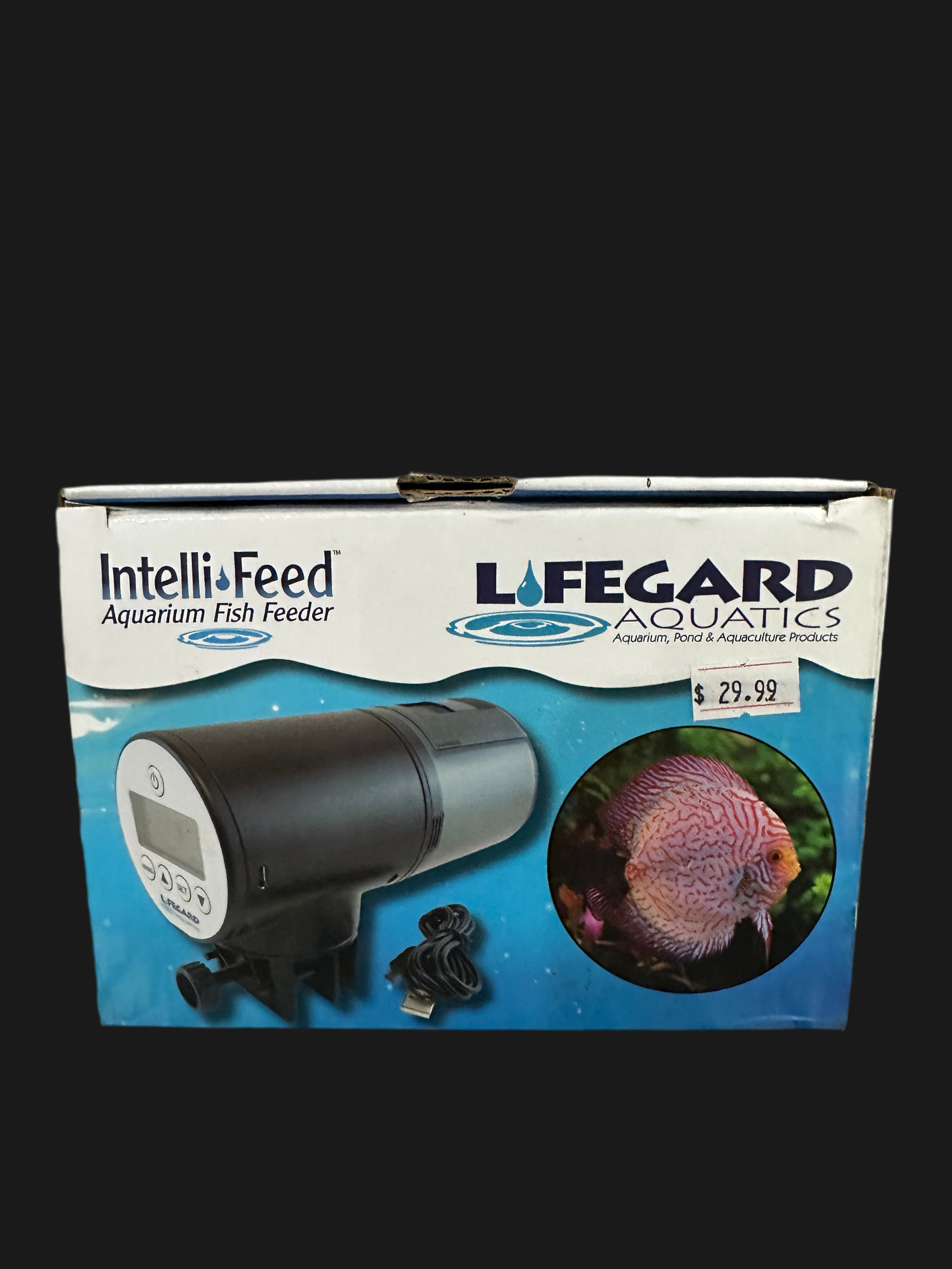 Auto fish feeder