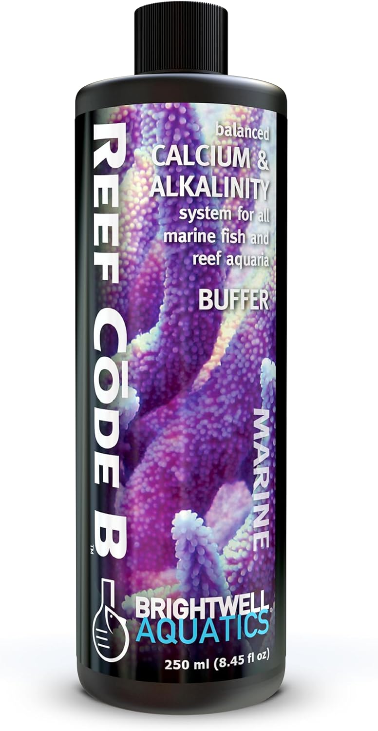 Brightwell Reef Code B