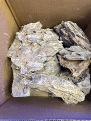 Dragon Stone Per LB