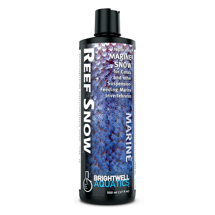 Brightwell Reef Snow