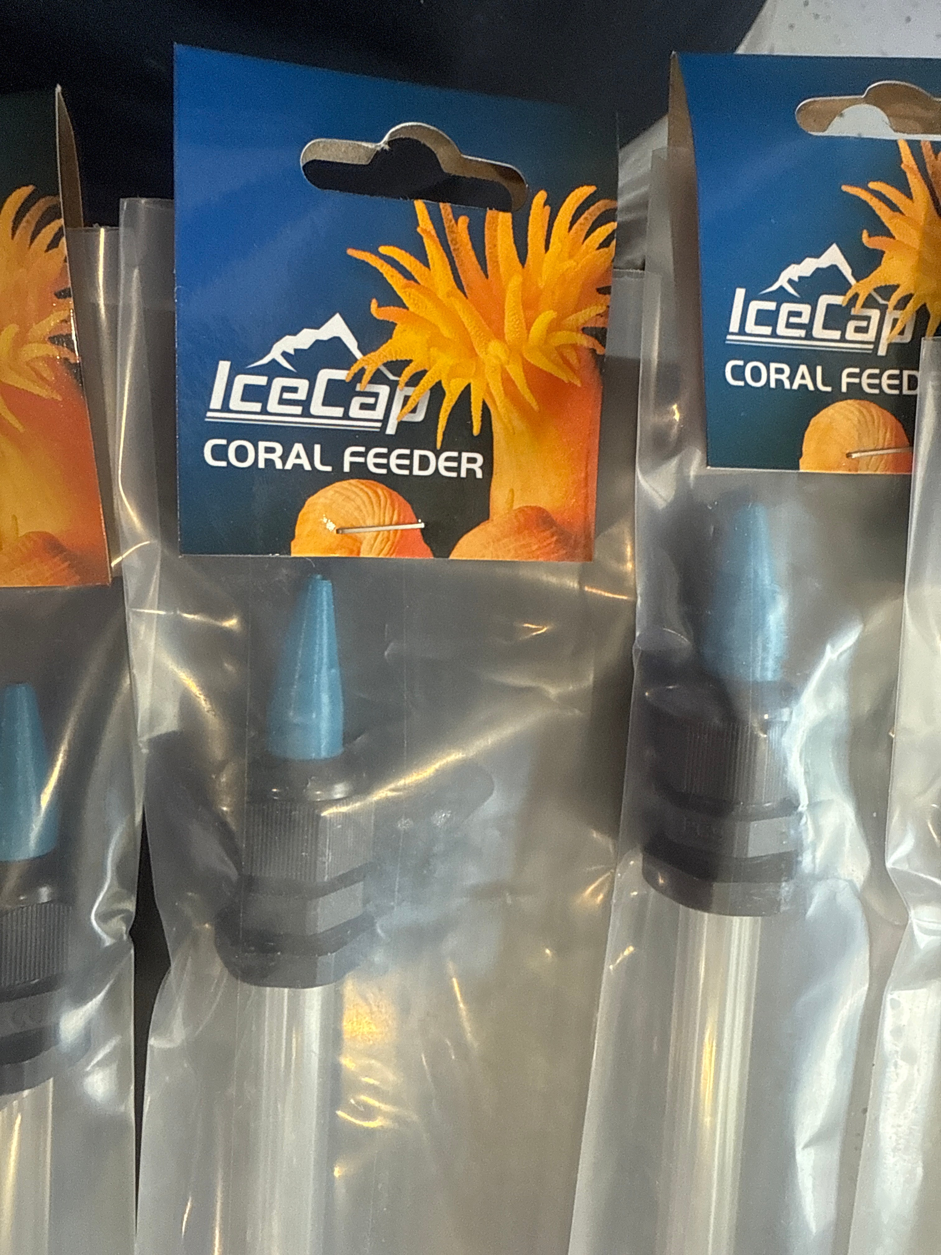 Coral feeder large