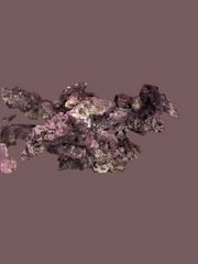 Life rock forest kit