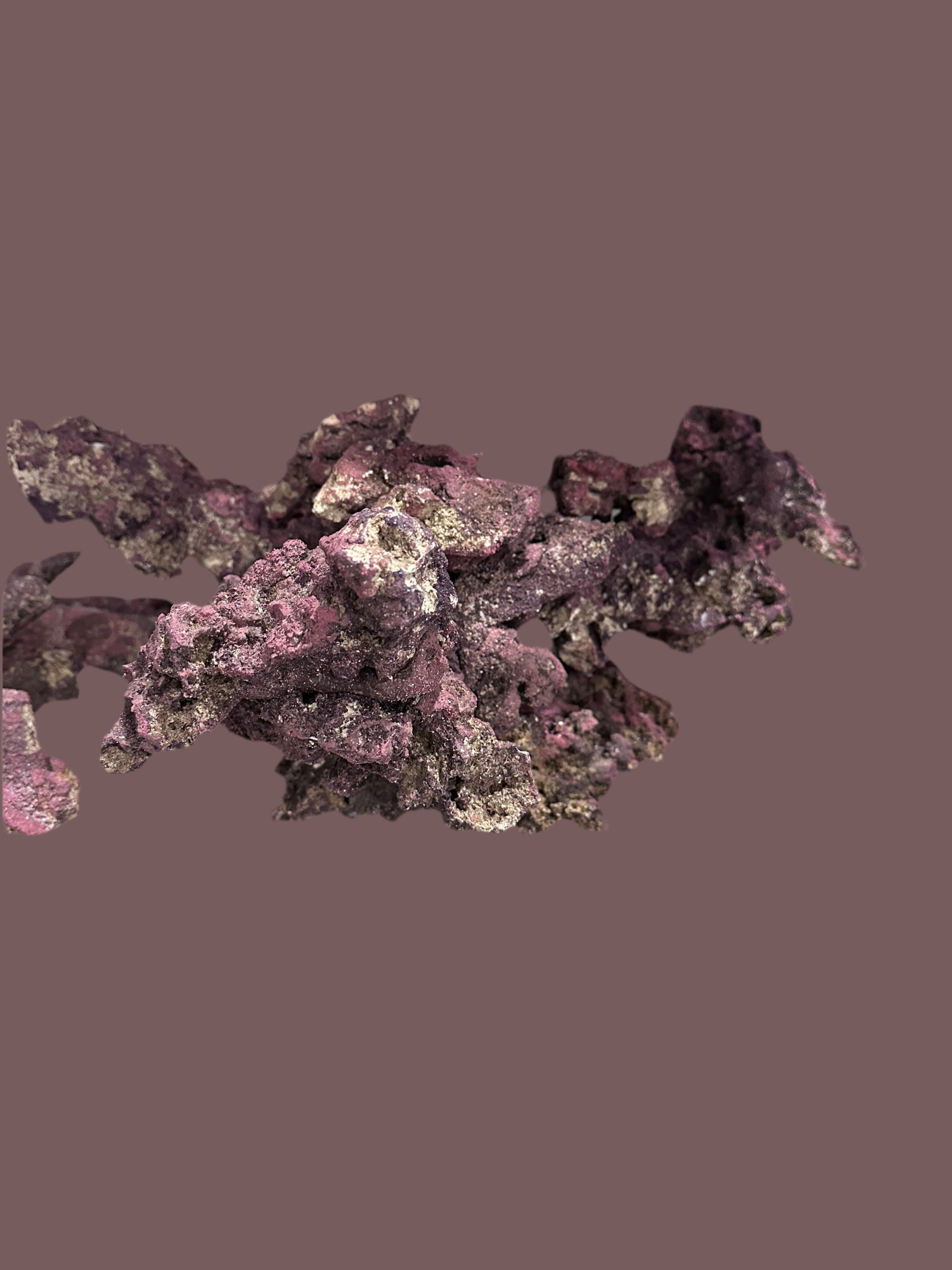 Life rock forest kit