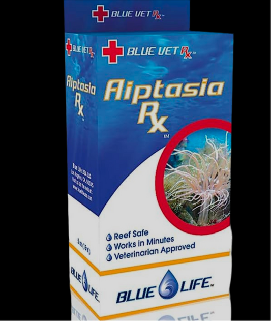 Aiptasia control blue life