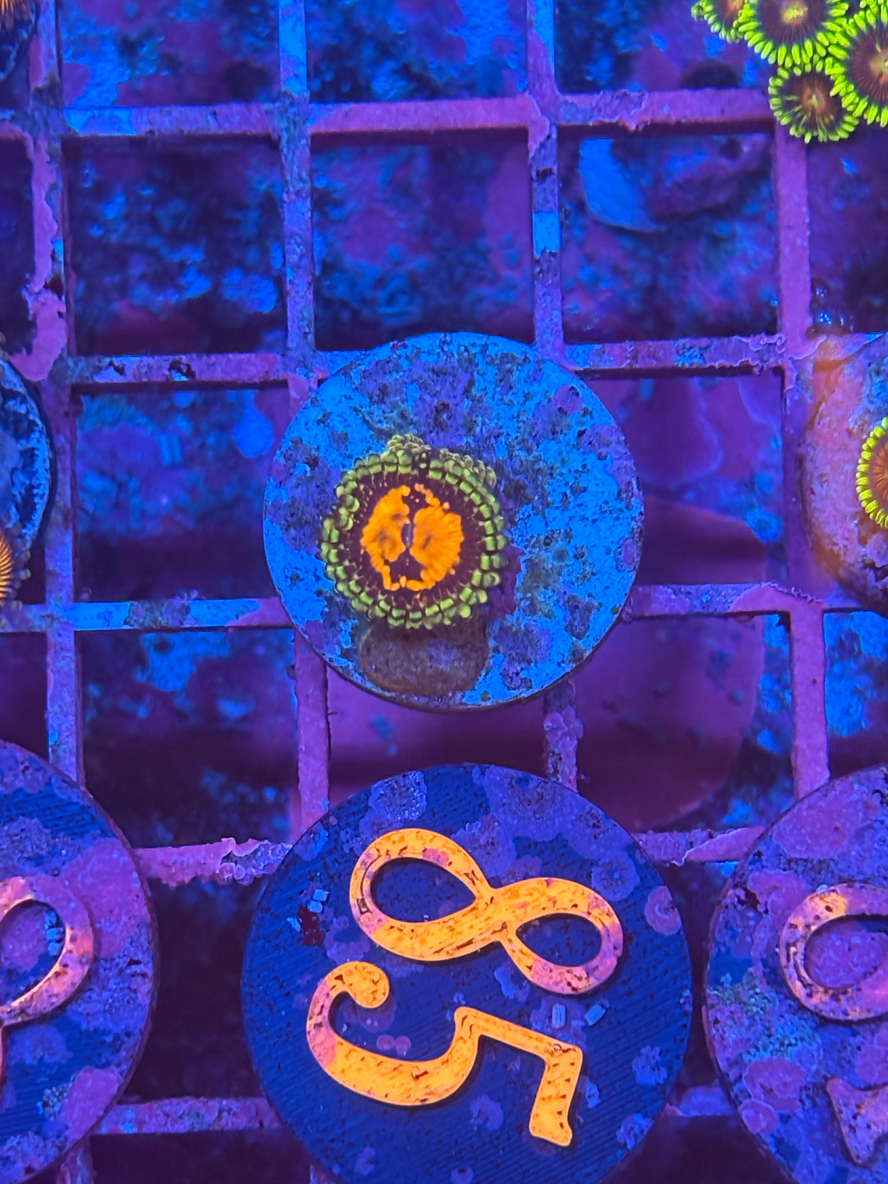 Deadpool Stratosphere