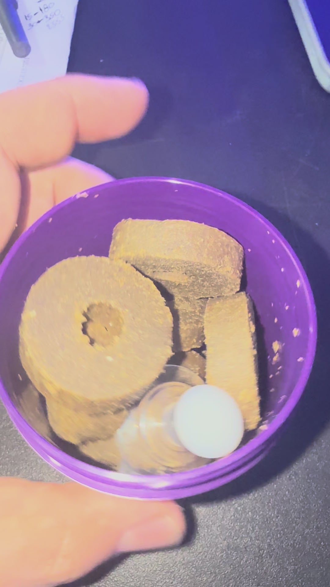 Load video: AF Vege Clip